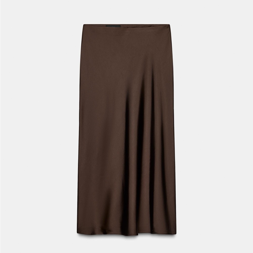 Zara Chocolate Brown Maxi Skirt